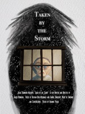 Taken by the Storm's poster