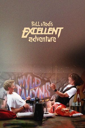 Bill & Ted's Excellent Adventure's poster