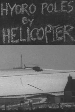 Hydro Poles by Helicopter's poster