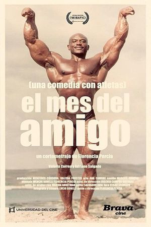 El mes del amigo's poster