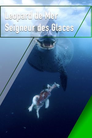 Leopard Seals: Lords of the Ice's poster