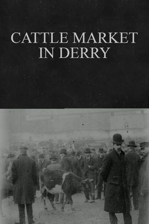 Cattle Market in Derry's poster