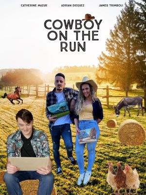 Cowboy on the Run's poster image