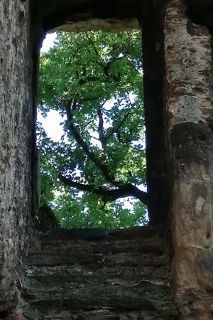 The Ruins of Seyssuel's Castle's poster