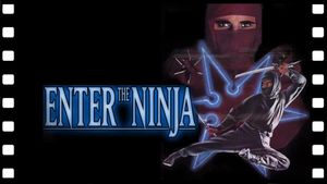 Enter the Ninja's poster