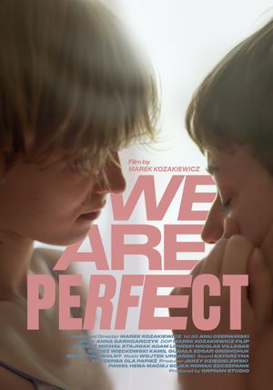 We Are Perfect's poster