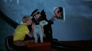 Tintin and the Blue Oranges's poster