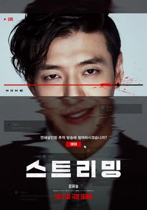 Streaming's poster