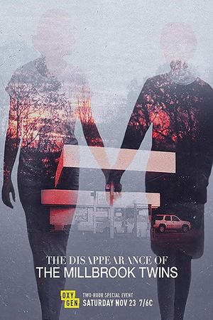 The Disappearance of the Millbrook Twins's poster