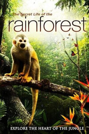 The Secret Life of the Rainforest's poster