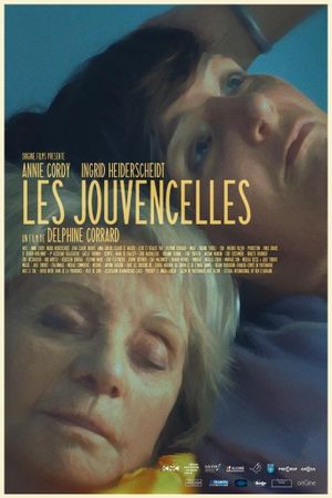 The Damsels's poster