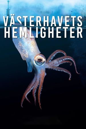 Västerhavets hemligheter's poster