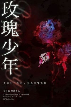 Rose Boy's poster