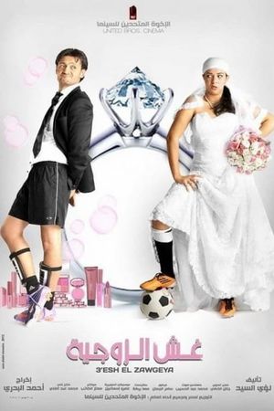 The Player's poster