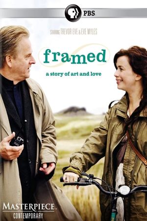 Framed's poster
