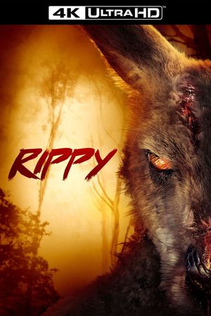 Rippy's poster