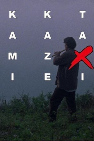 Kamikaze Taxi's poster