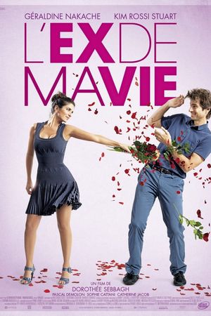L'ex de ma vie's poster