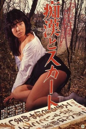 Chikan to skirt's poster