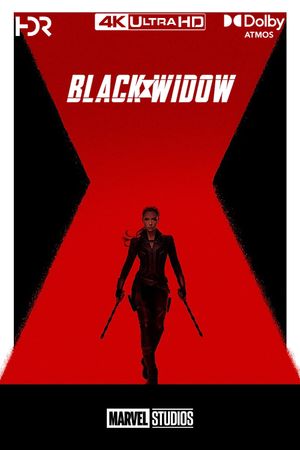 Black Widow's poster