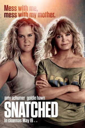 Snatched's poster
