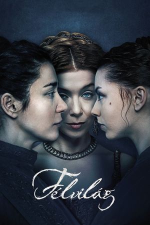 Demimonde's poster