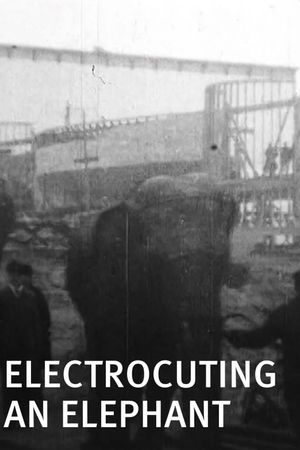 Electrocuting an Elephant's poster