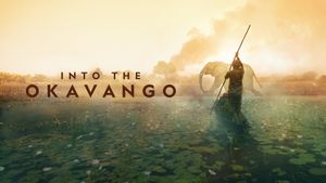 Into the Okavango's poster