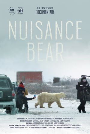 Nuisance Bear's poster