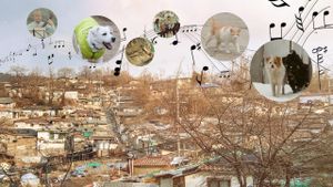 A Time for Dogs and Cats's poster