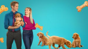 Everything Puppies's poster