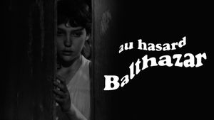 Au hasard Balthazar's poster