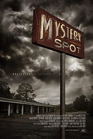 Mystery Spot's poster