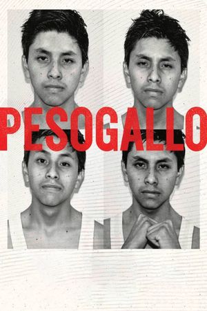 Peso Gallo's poster