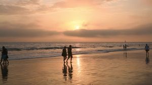 Memories for Life: Reversing Alzheimer's's poster