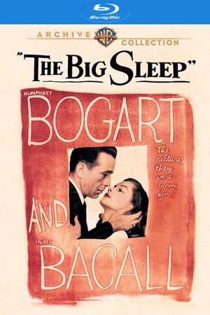 The Big Sleep's poster