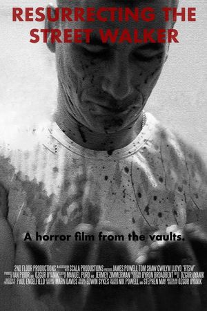 Resurrecting the Street Walker's poster