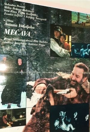 Snowstorm's poster