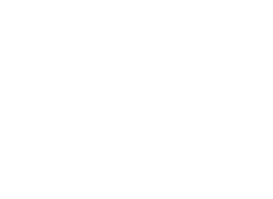 Ray's poster
