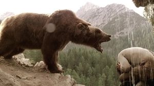 The Bear's poster