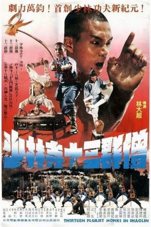 War of the Shaolin Temple's poster
