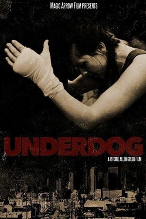 Underdog's poster