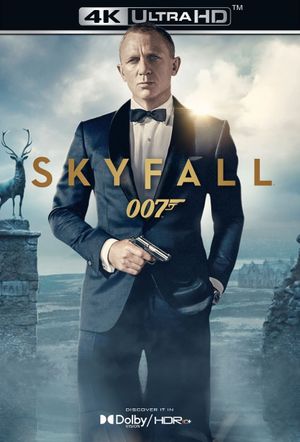 Skyfall's poster
