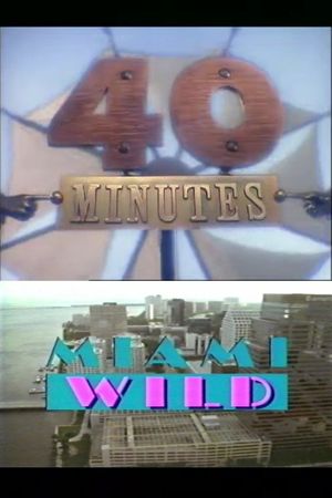 Miami Wild's poster