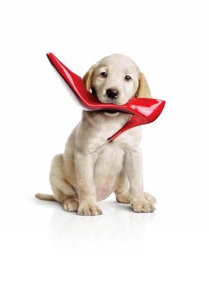 Marley & Me's poster