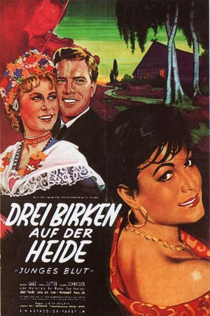 Drei Birken auf der Heide's poster