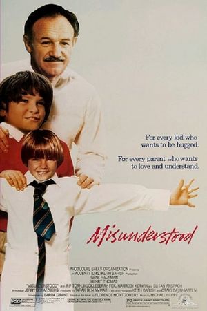 Misunderstood's poster