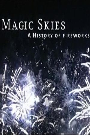 Magic Skies: A History of the Art of Fireworks's poster