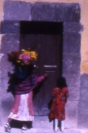 Woman with Flowers's poster