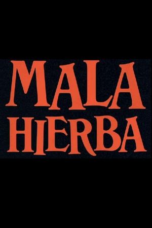 Mala Hierba's poster